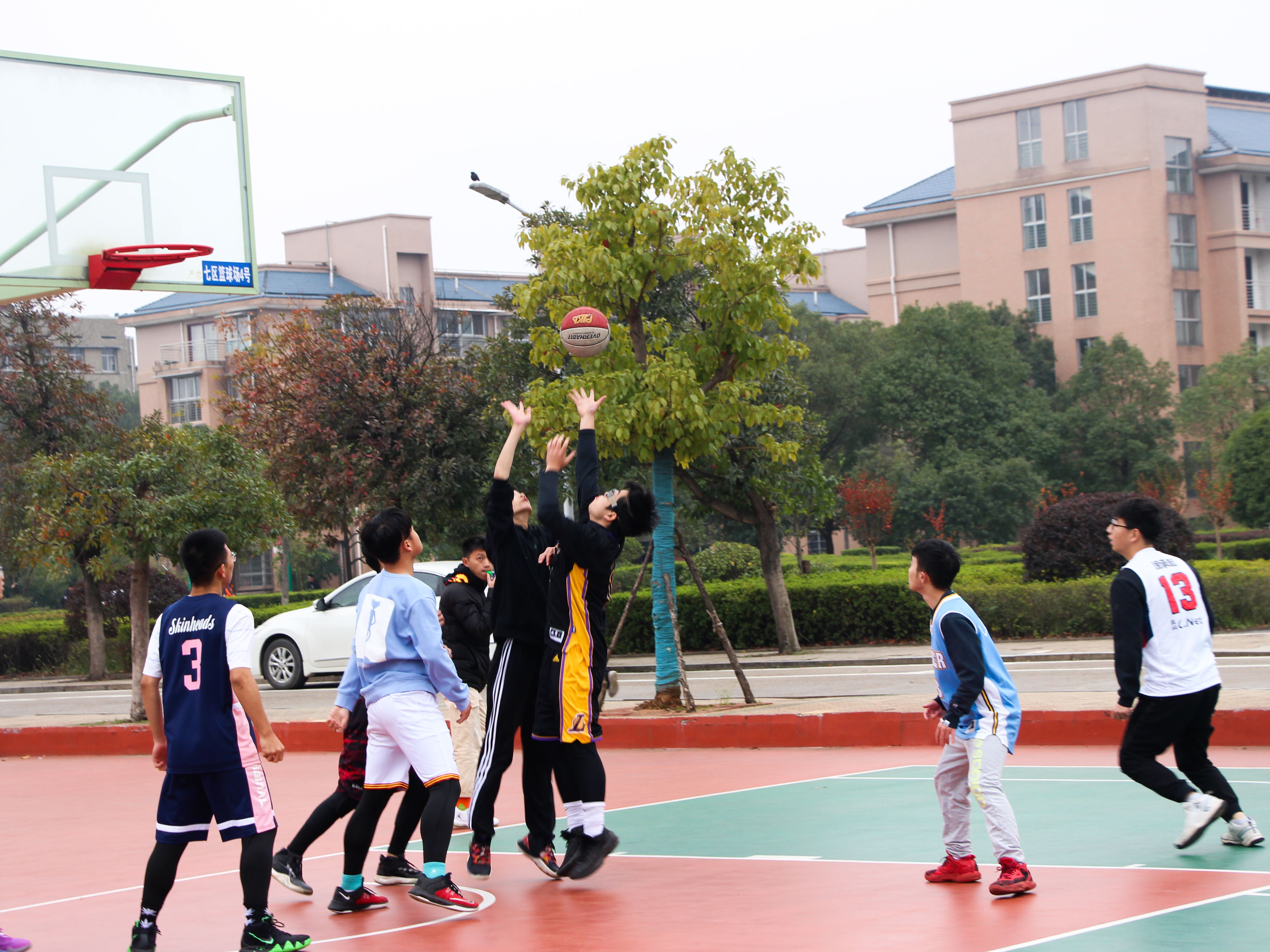 da4a8dac23874a239c311918e2e17f24.jpg da4a8dac23874a239c311918e2e17f24.jpg