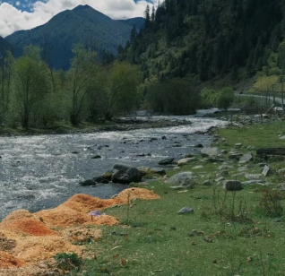 12c46c1a3a1d493794e95a065a3018d9.png image.png