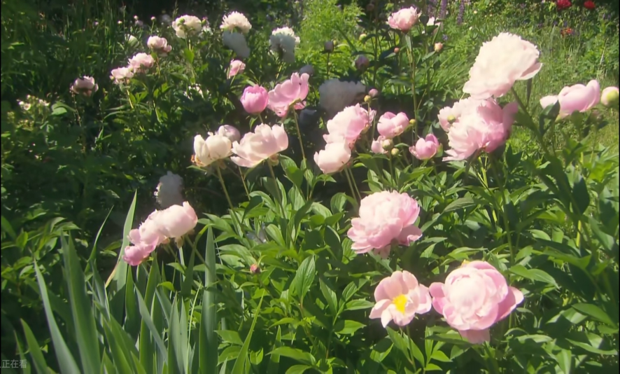 f11378ac92a54394b8cd354eec93ef0b.png image.png